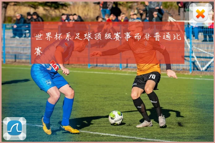 世界杯系足球顶级赛事而非普通比赛