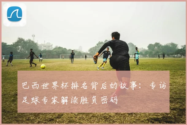巴西世界杯排名背后的故事：专访足球专家解读胜负密码