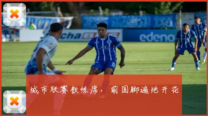城市联赛教练席，前国脚遍地开花