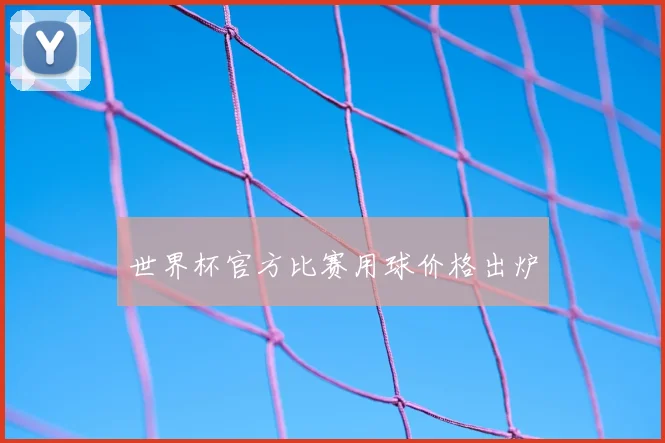世界杯官方比赛用球价格出炉