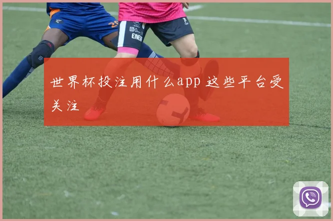 世界杯投注用什么app 这些平台受关注