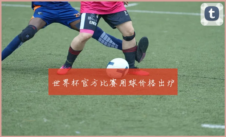 世界杯官方比赛用球价格出炉
