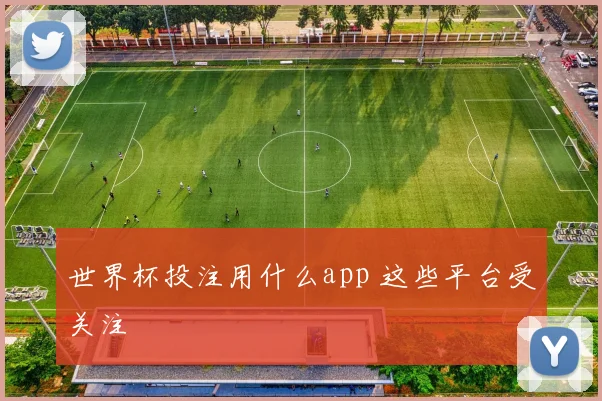 世界杯投注用什么app 这些平台受关注